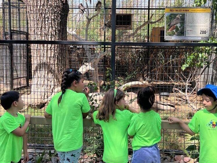 A group of children in green shirts are looking at a bird in a cage.