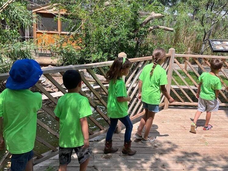 A group of children in green shirts are standing on a wooden bridge.