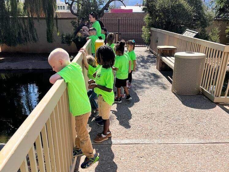 A group of children are standing on a bridge looking at a pond.