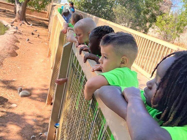 A group of children are looking over a fence at a zoo.