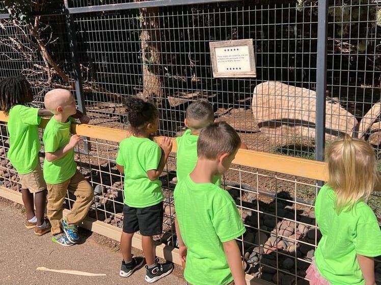 A group of children in green shirts are looking at a goat through a fence.