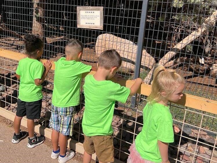 A group of children in green shirts are looking at a goat through a fence.