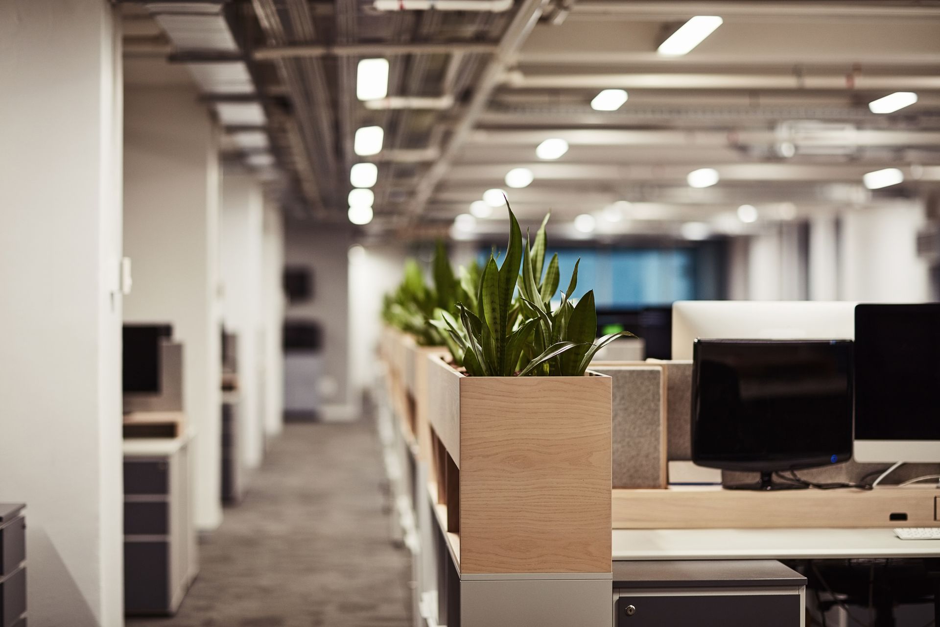 Modern office interior with desk row, plants, and overhead lighting.