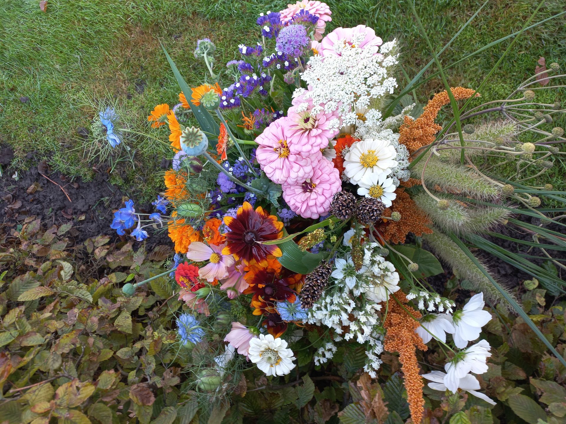 Een kleurrijk boeket van diverse bloemen op een bedje van groen en bruin blad.