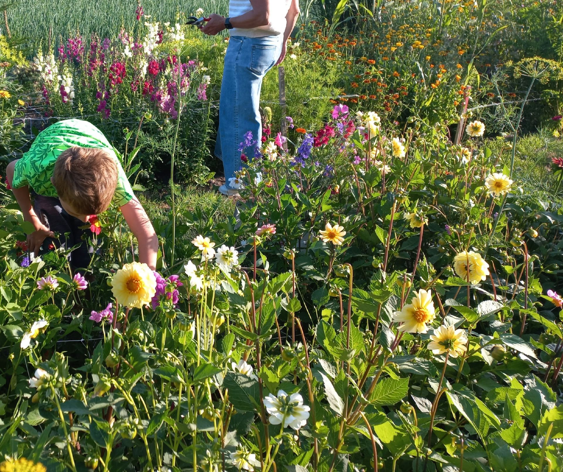 bezoek in de pluktuin
