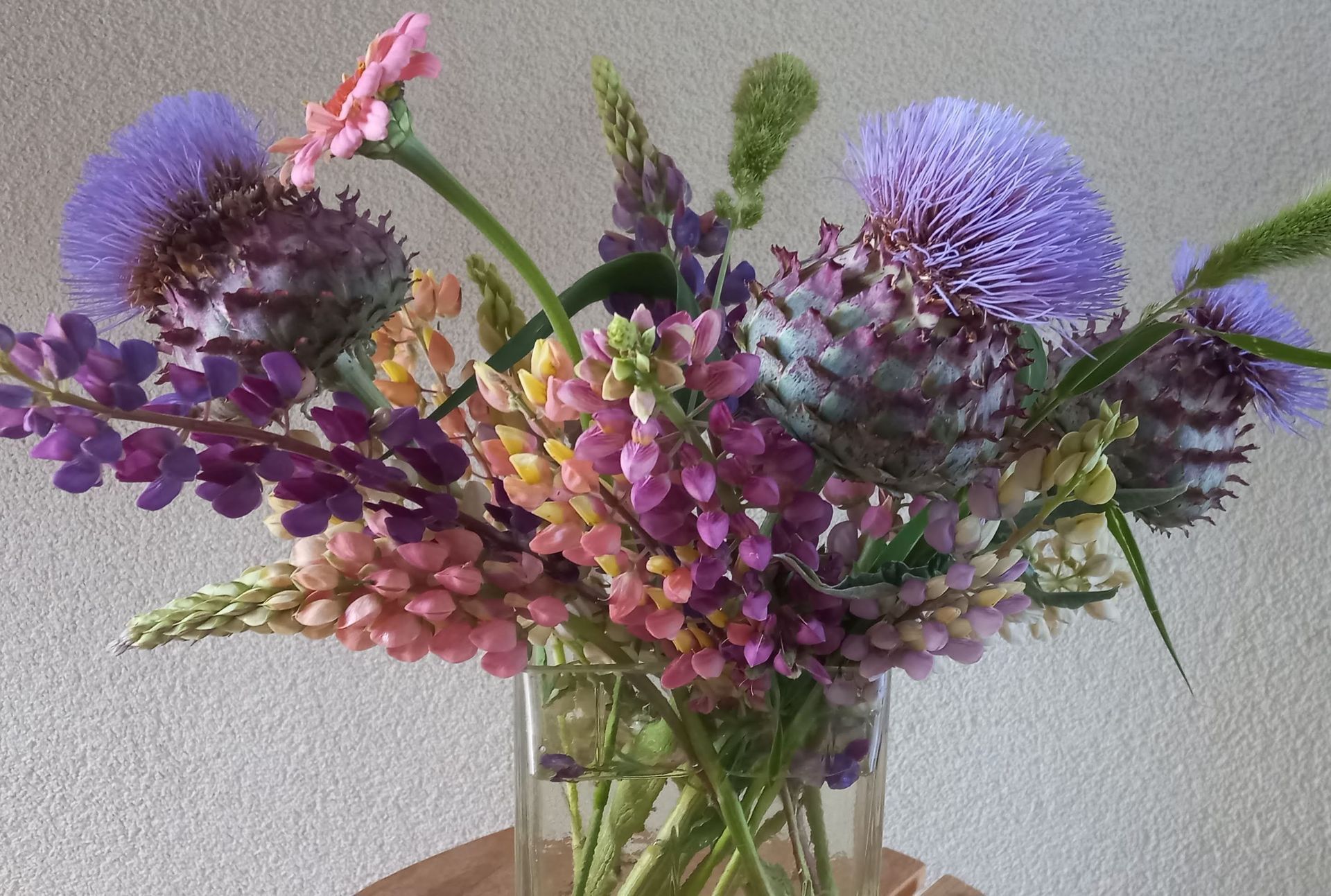 kardoen en lupine