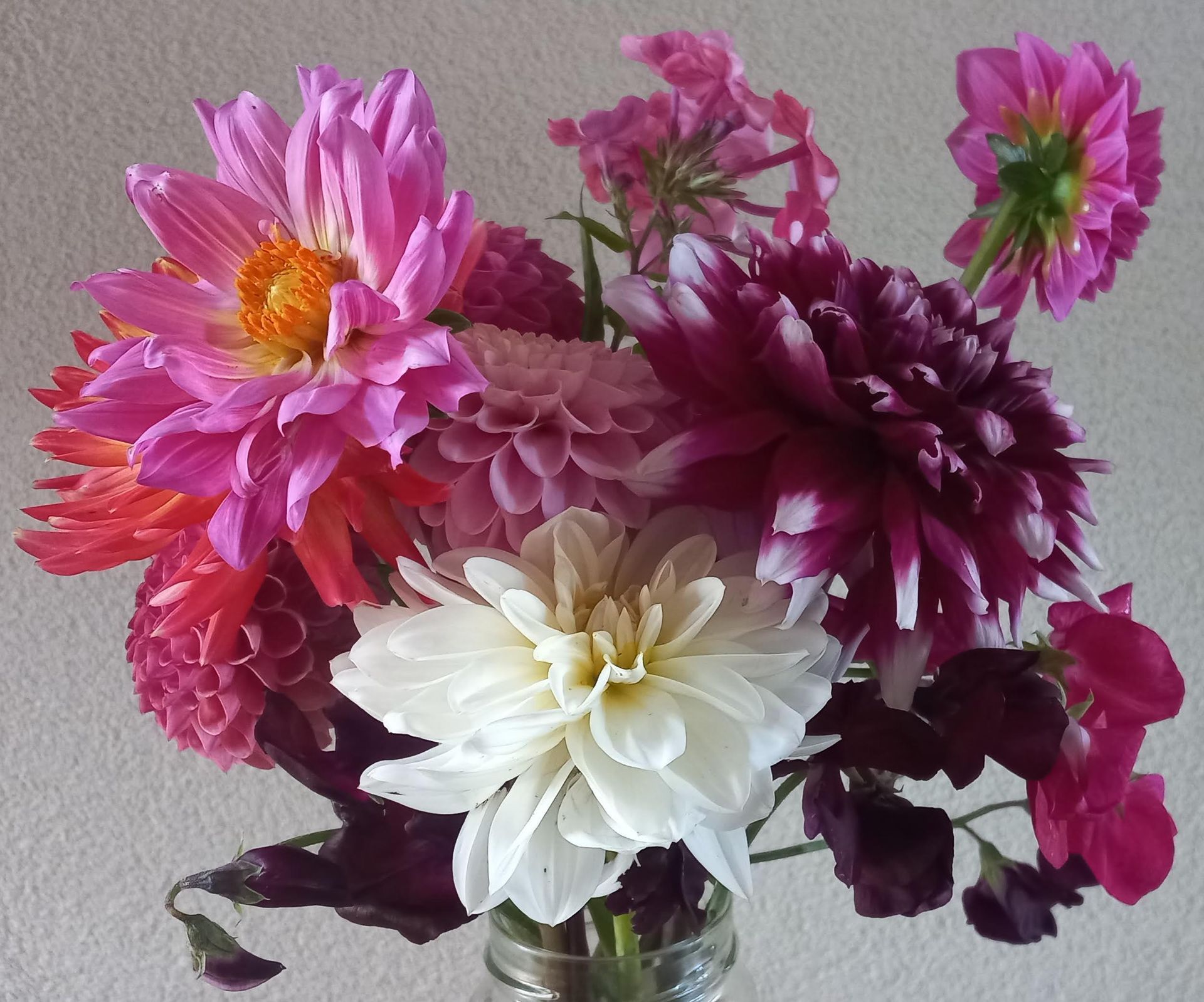 Dahlia's