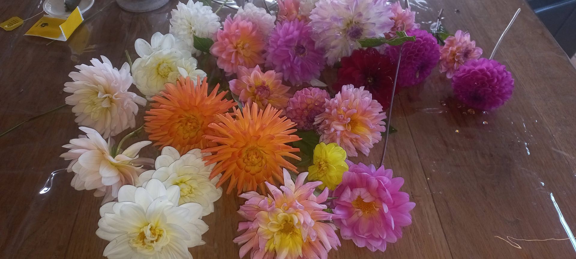 Close-up van een houten tafel bedekt met een verscheidenheid aan kleurrijke dahlia's.