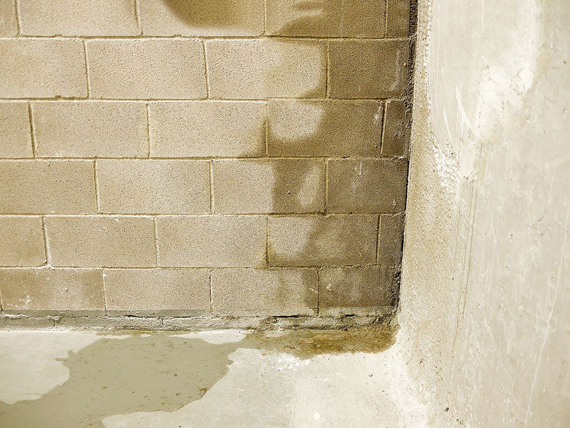 wet basement wall in Copley Ohio that needs foundation repair work