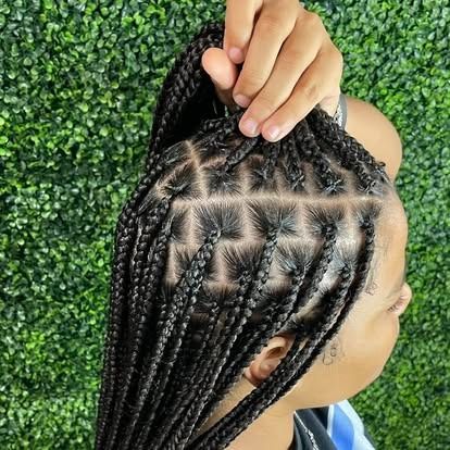 Close-up of braided hair being parted by hand against a green leafy background