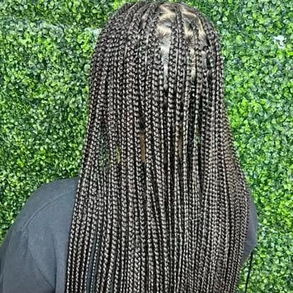 Back view of a person with long braided hair against a green leafy wall