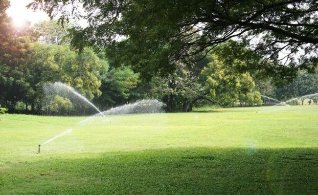 An image of Irrigation Services in Jupiter FL