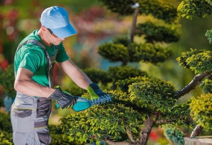 An image of Landscaping Services in Jupiter FL
