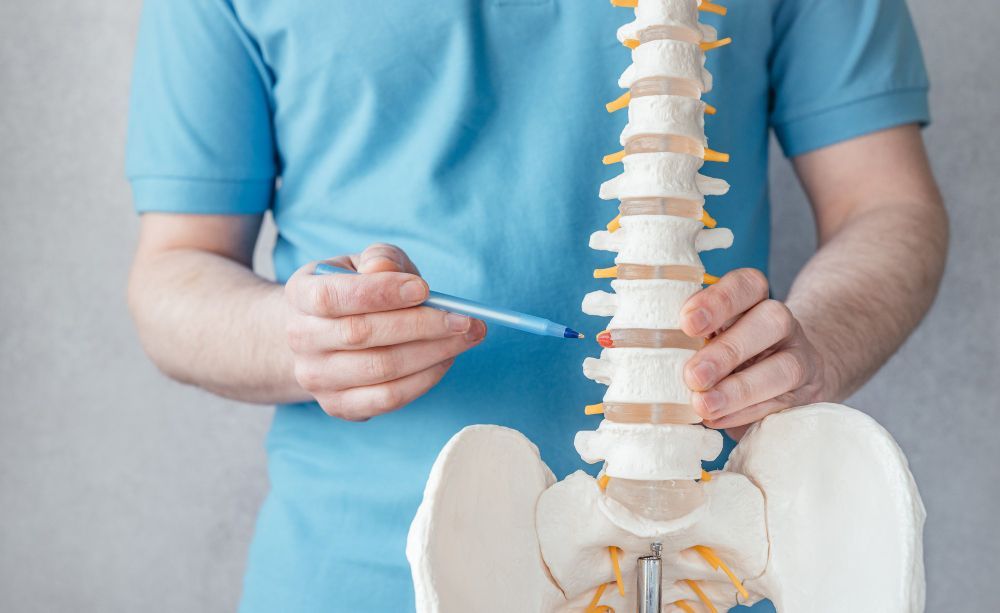 Person in blue shirt points to a spine model.