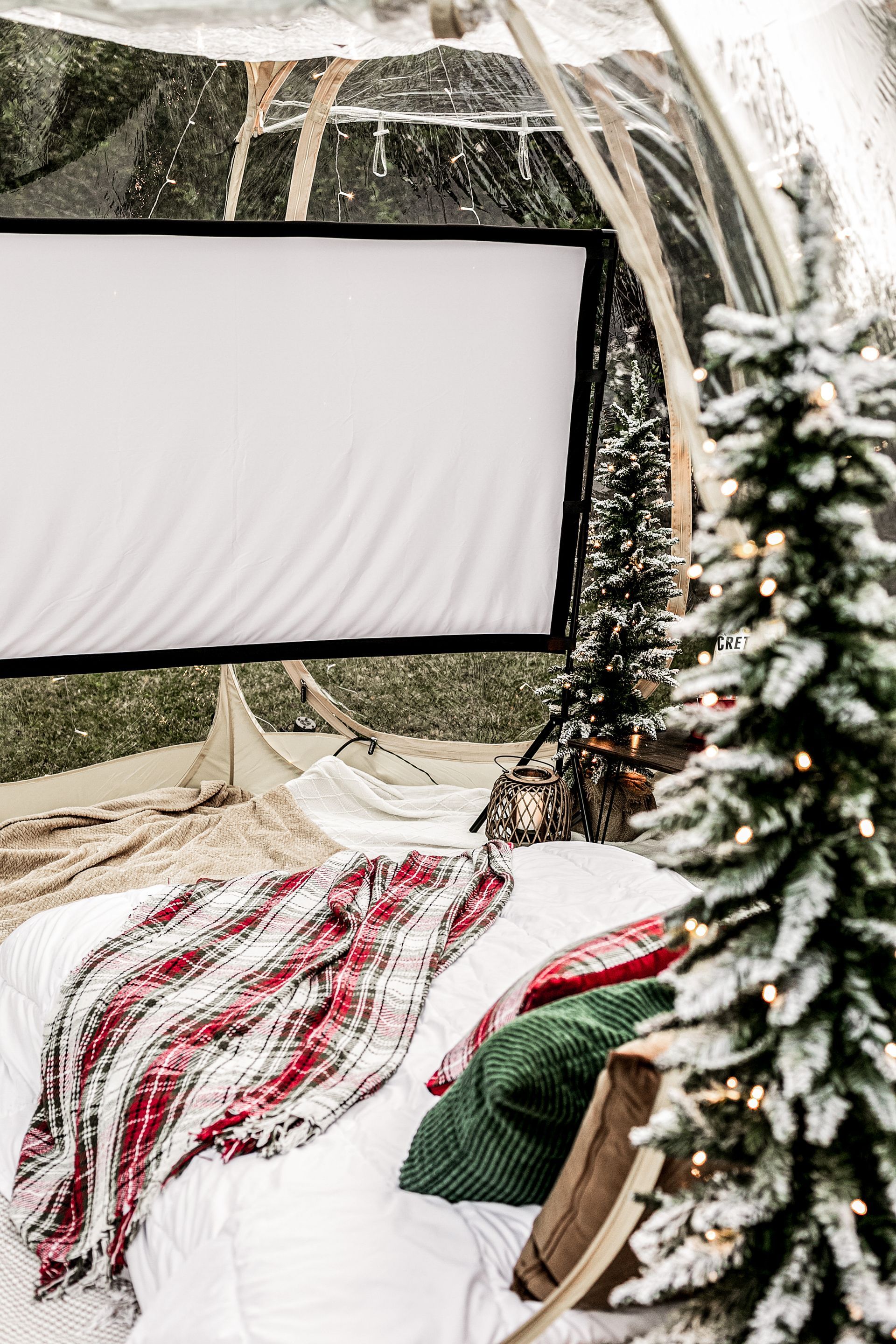There is a christmas tree in the background and a projector screen in the background.