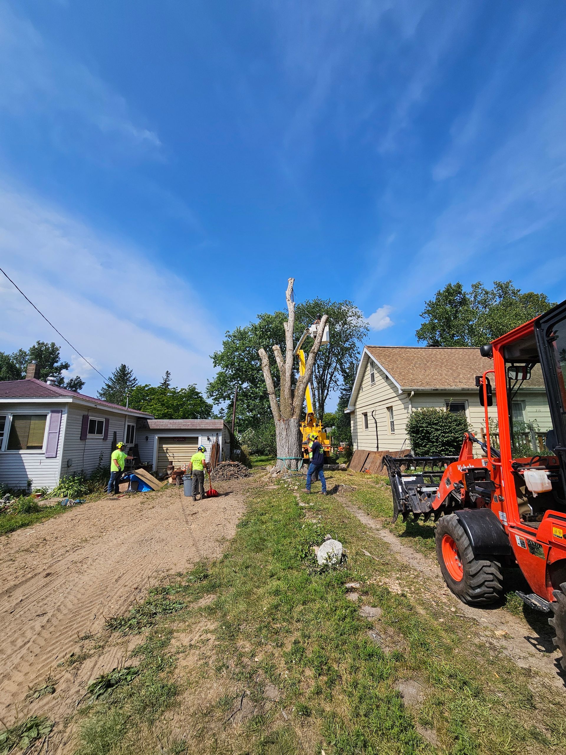A group of people are cutting down a tree in front of a house - Gaylord, MI - Stuckman Tree Service
