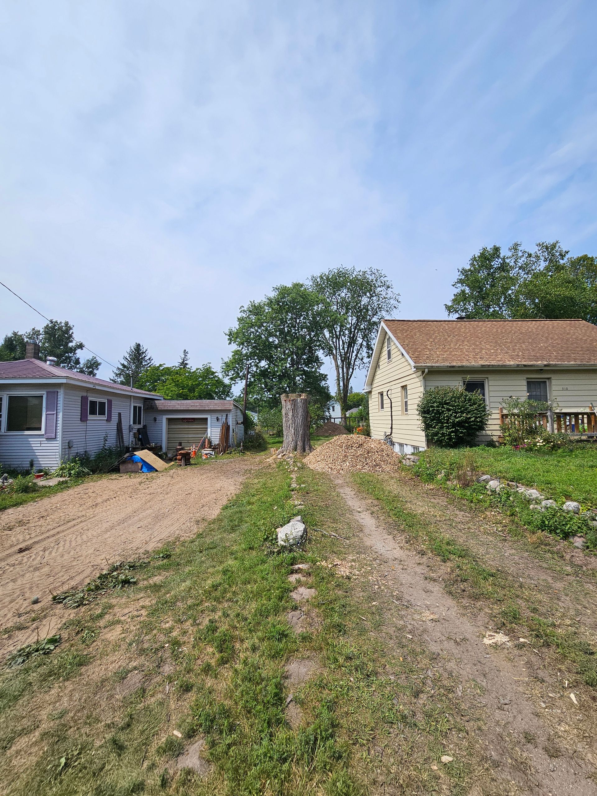 A dirt road leading to two houses on a sunny day - Gaylord, MI - Stuckman Tree Service