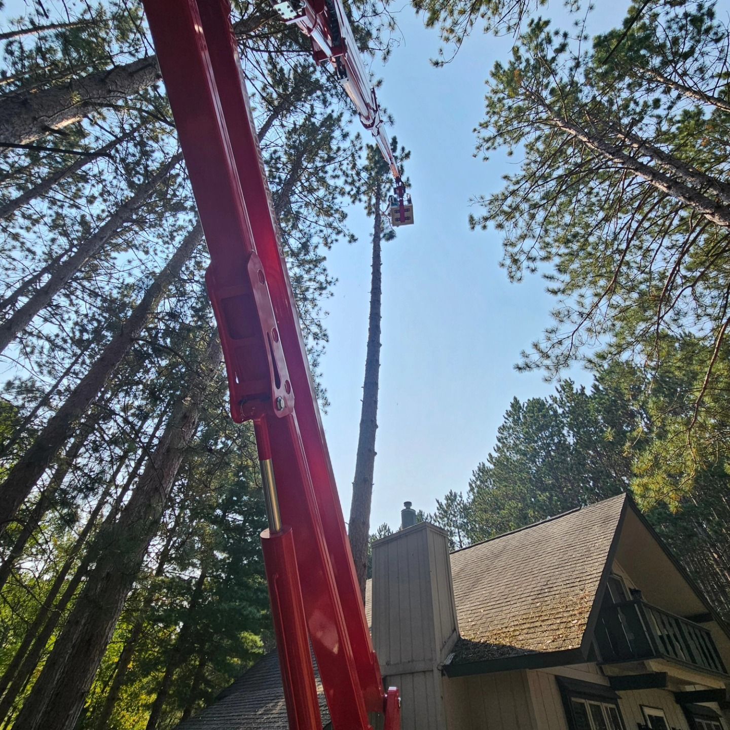 Red crane is cutting a tree- Gaylord, MI - Stuckman Tree Service