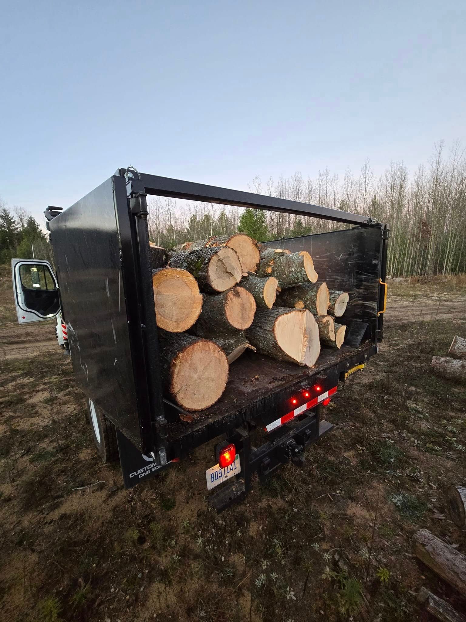 Truck filled with logs- Gaylord, MI - Stuckman Tree Service