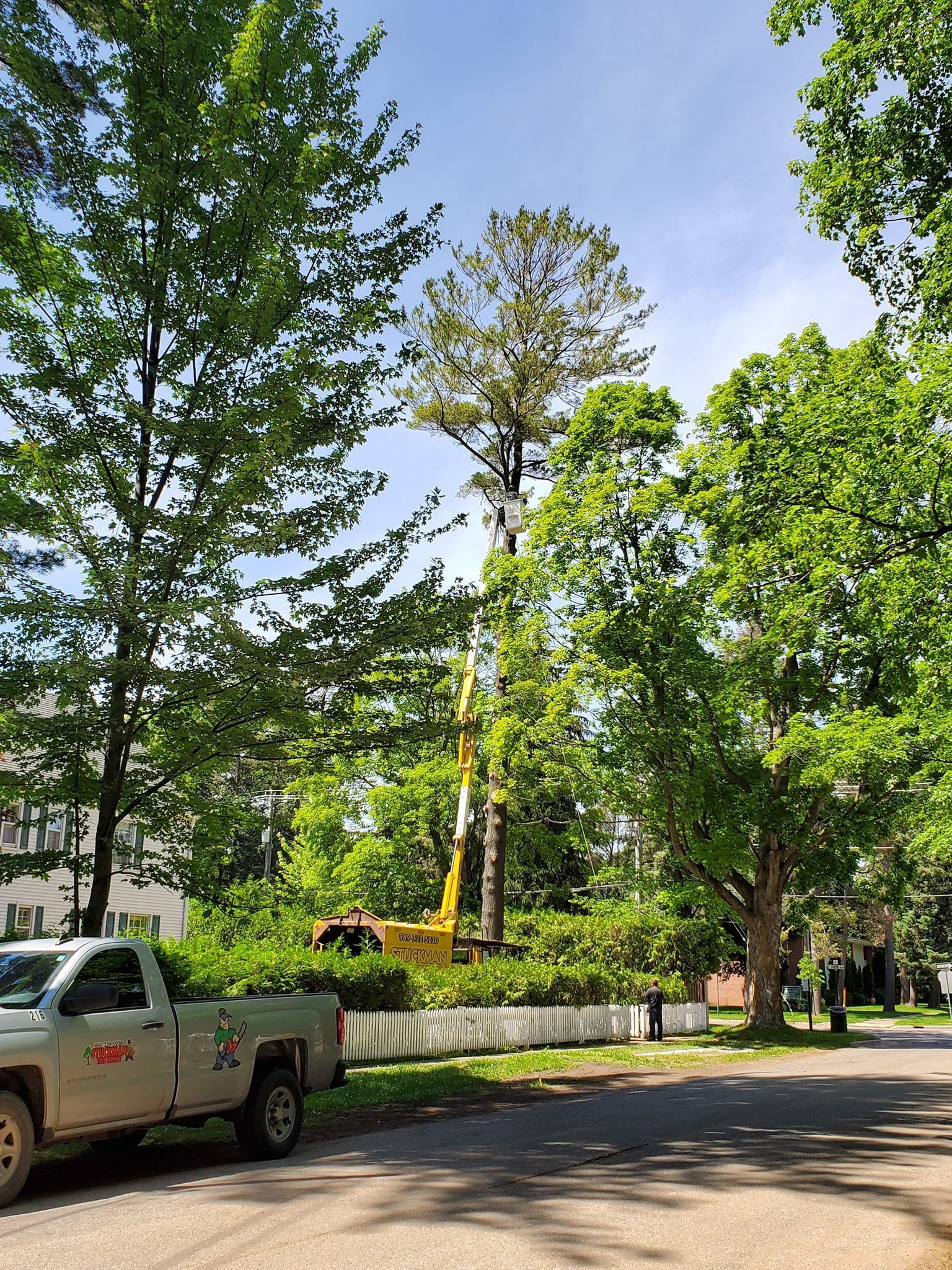 A truck is parked on the side of the road next to a tree.