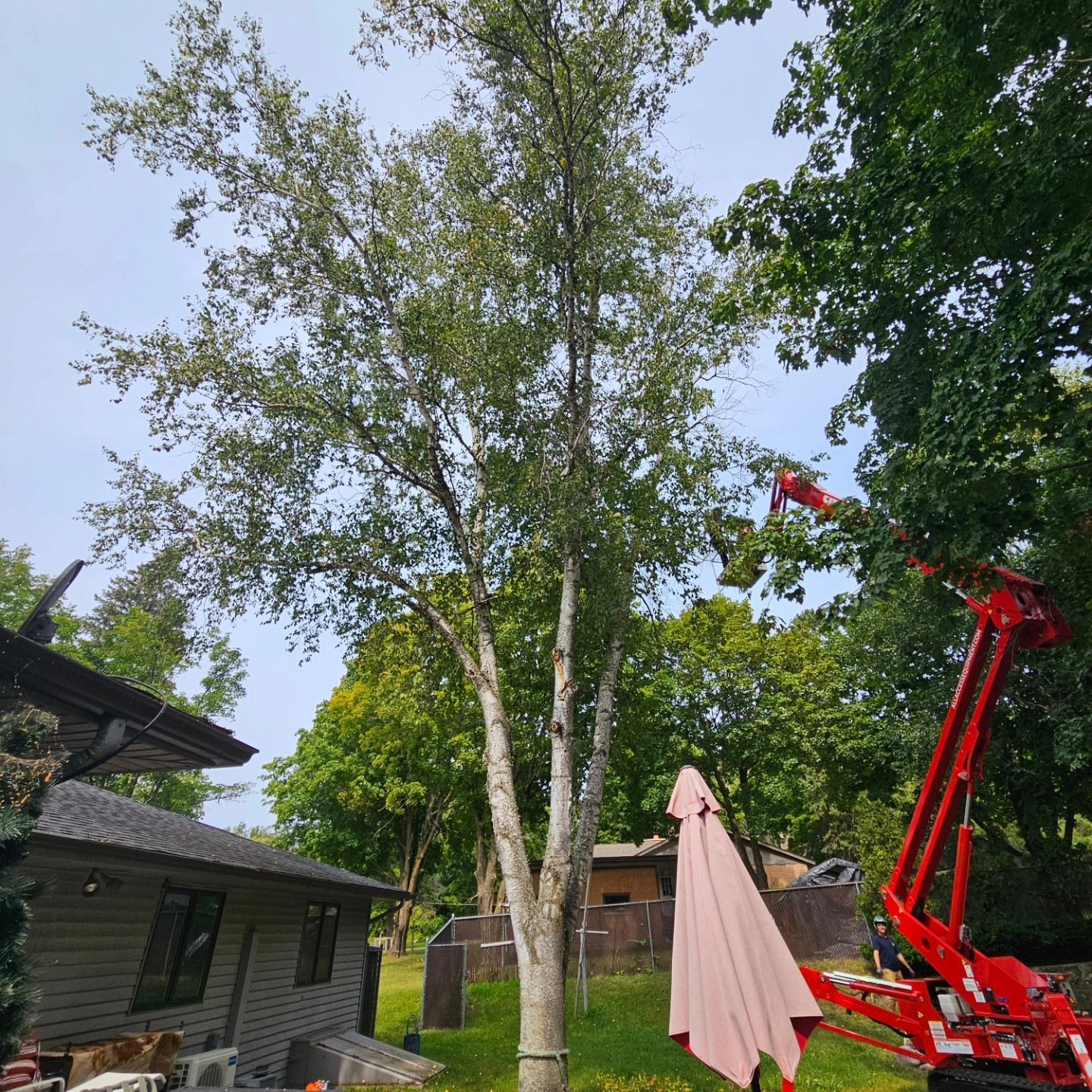 A red crane is cutting a tree in a backyard - Gaylord, MI - Stuckman Tree Service