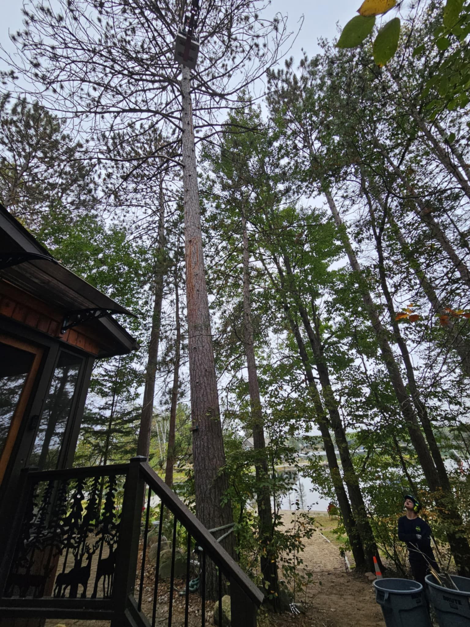 A house is surrounded by trees and a deck with stairs leading up to it.