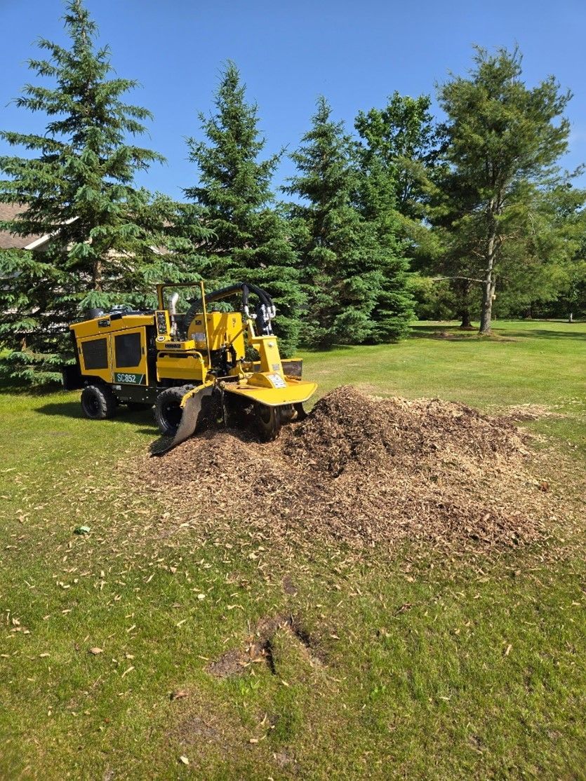 Tree stump removal using heavy machinery near garden hedge and electrical box for landscaping work.