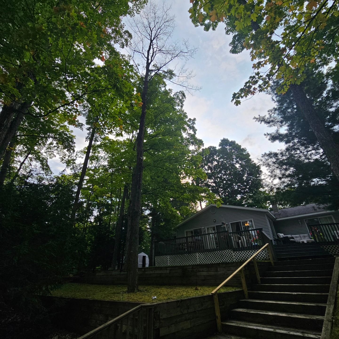Cabin in wooded area