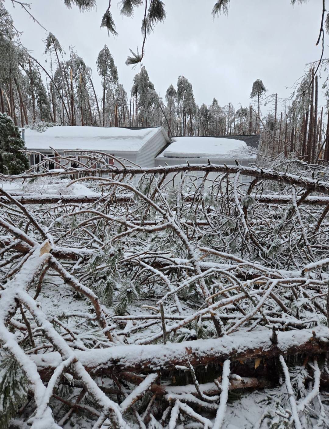 Snowy storm damage