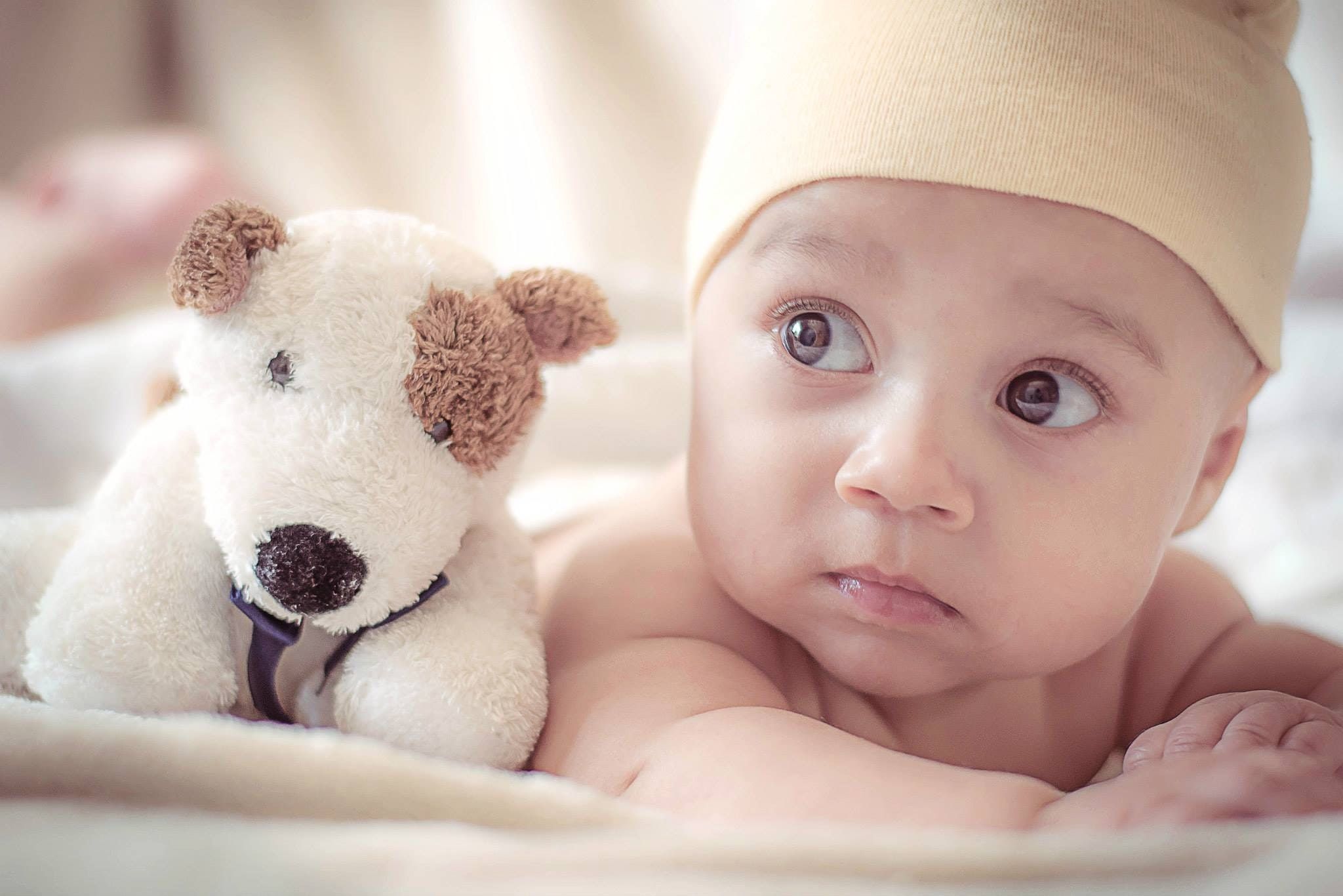 Baby with a yellow hat, looking off to the side, next to a stuffed dog toy.