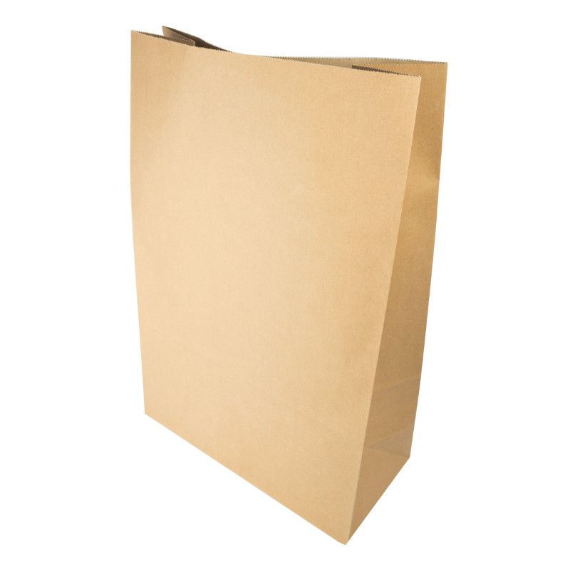 Plain tan paper shopping bag on a white background