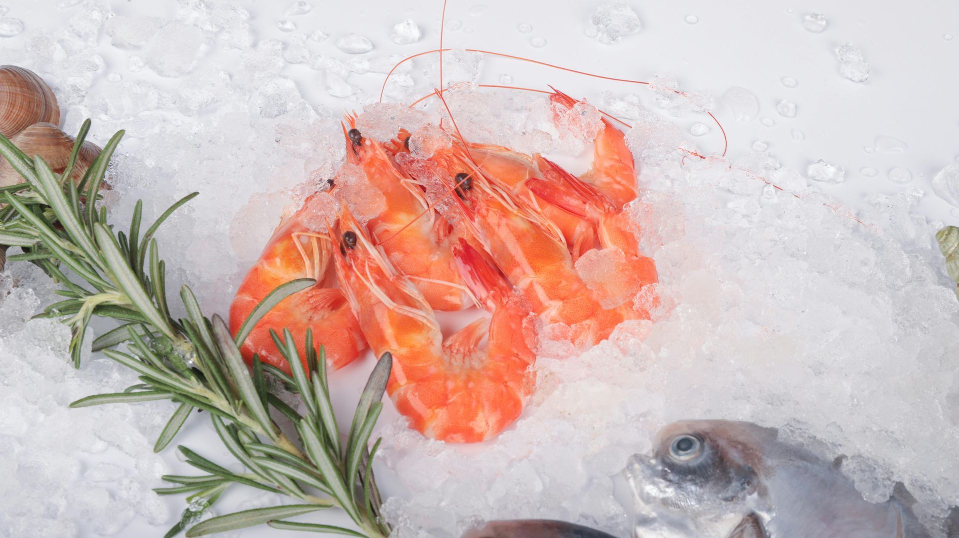 Salmon fillet on crushed ice with rosemary sprig and a fish head nearby
