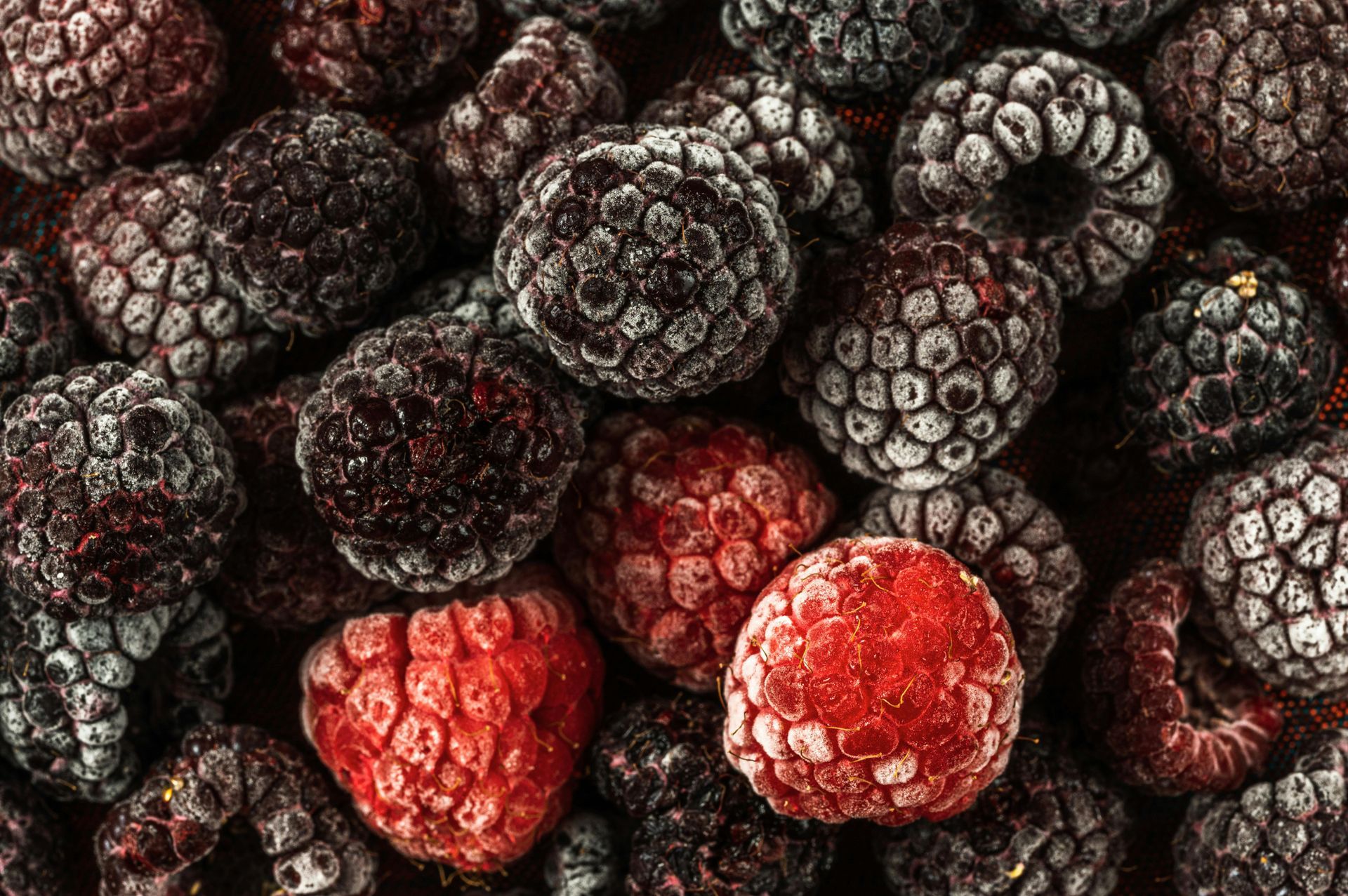 Frozen blackberries and raspberries in dark and red tones, close-up arrangement