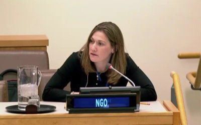 Hardwired Global At The United Nations