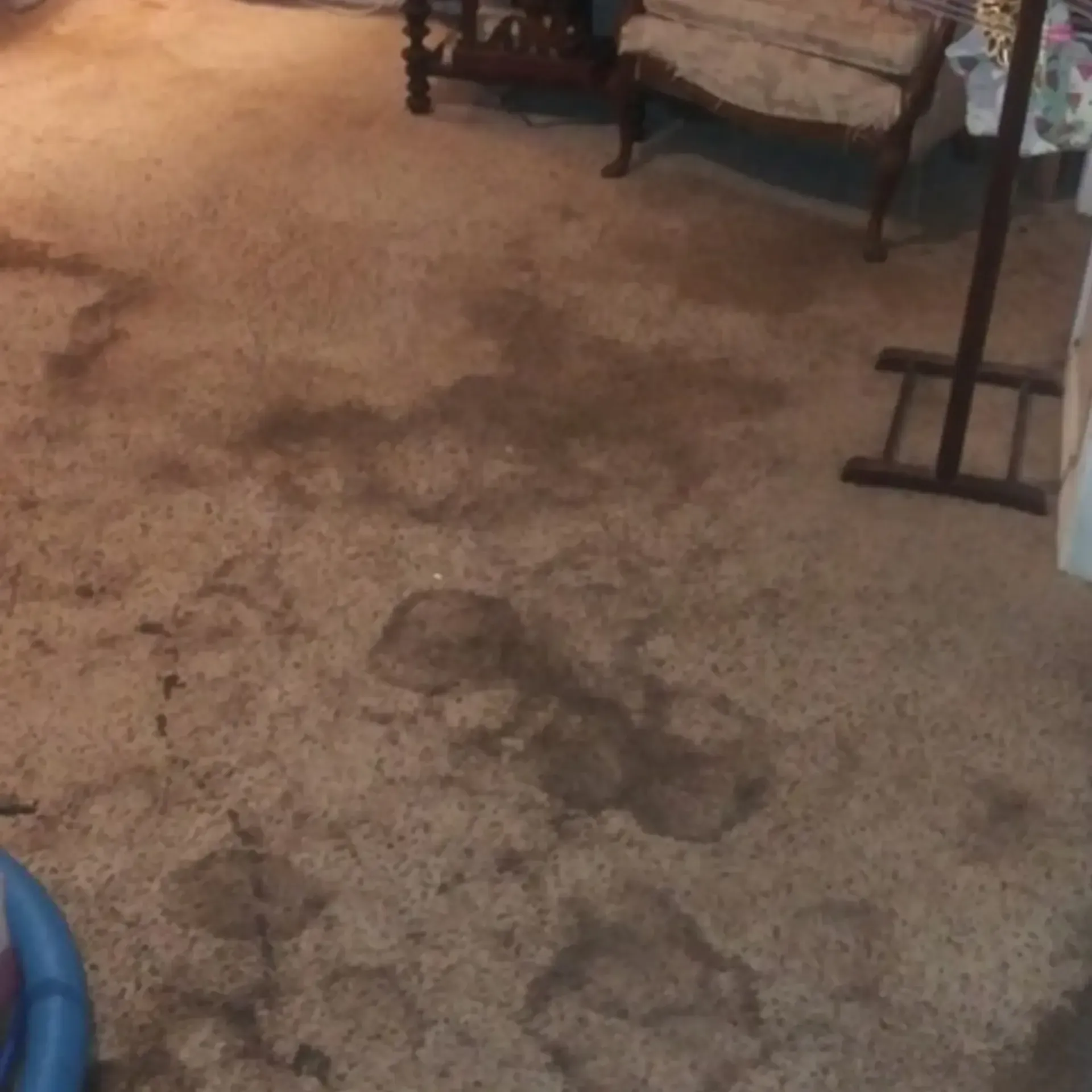 MD Carpet Cleaning - A living room with a dirty carpet and a chair