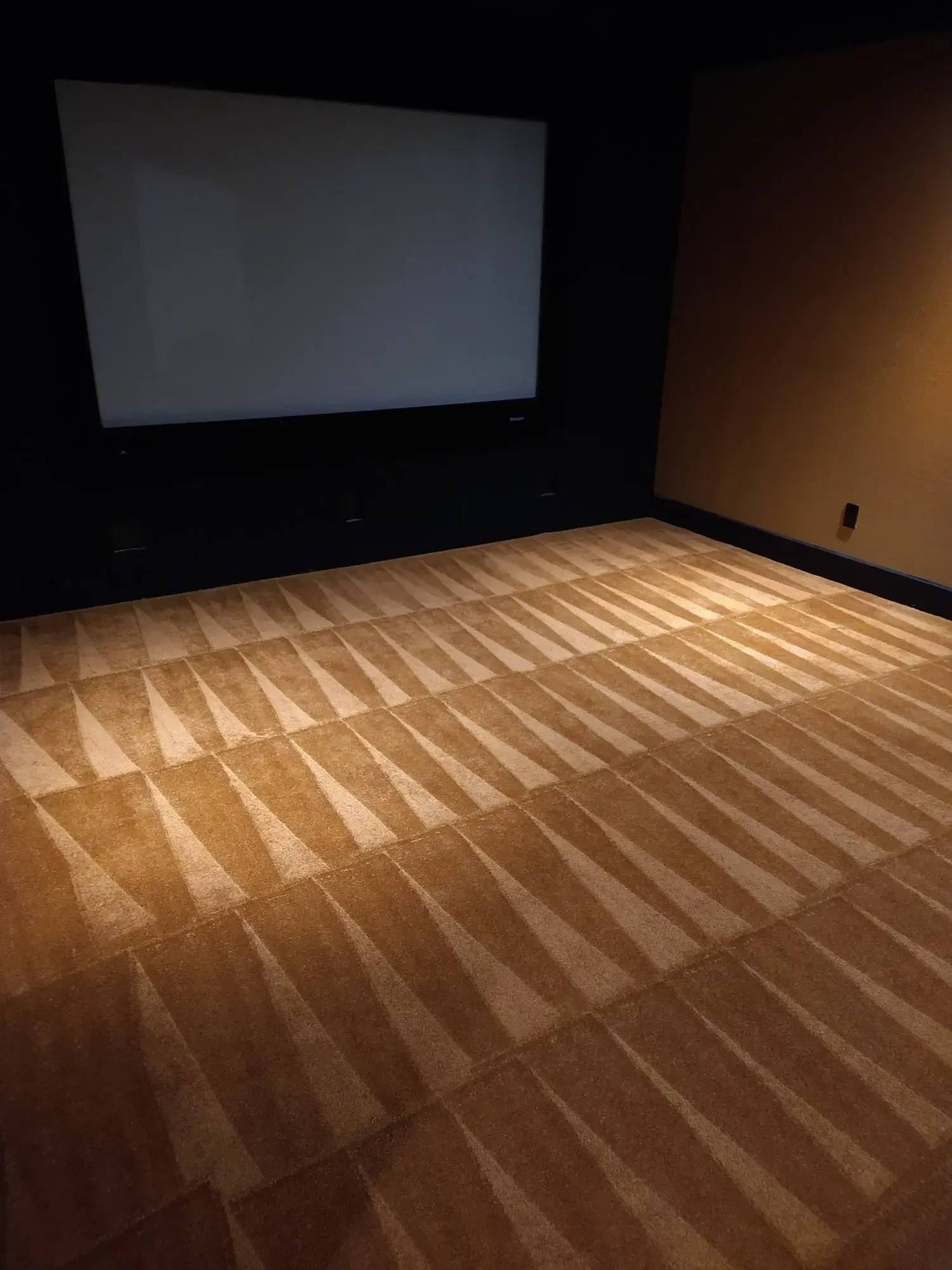 MB Carpet Cleaning- An empty room with a large screen on the wall