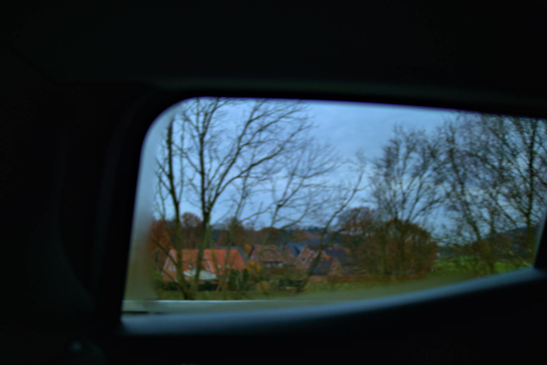 View through a car window: bare trees and rooftops against a cloudy sky.