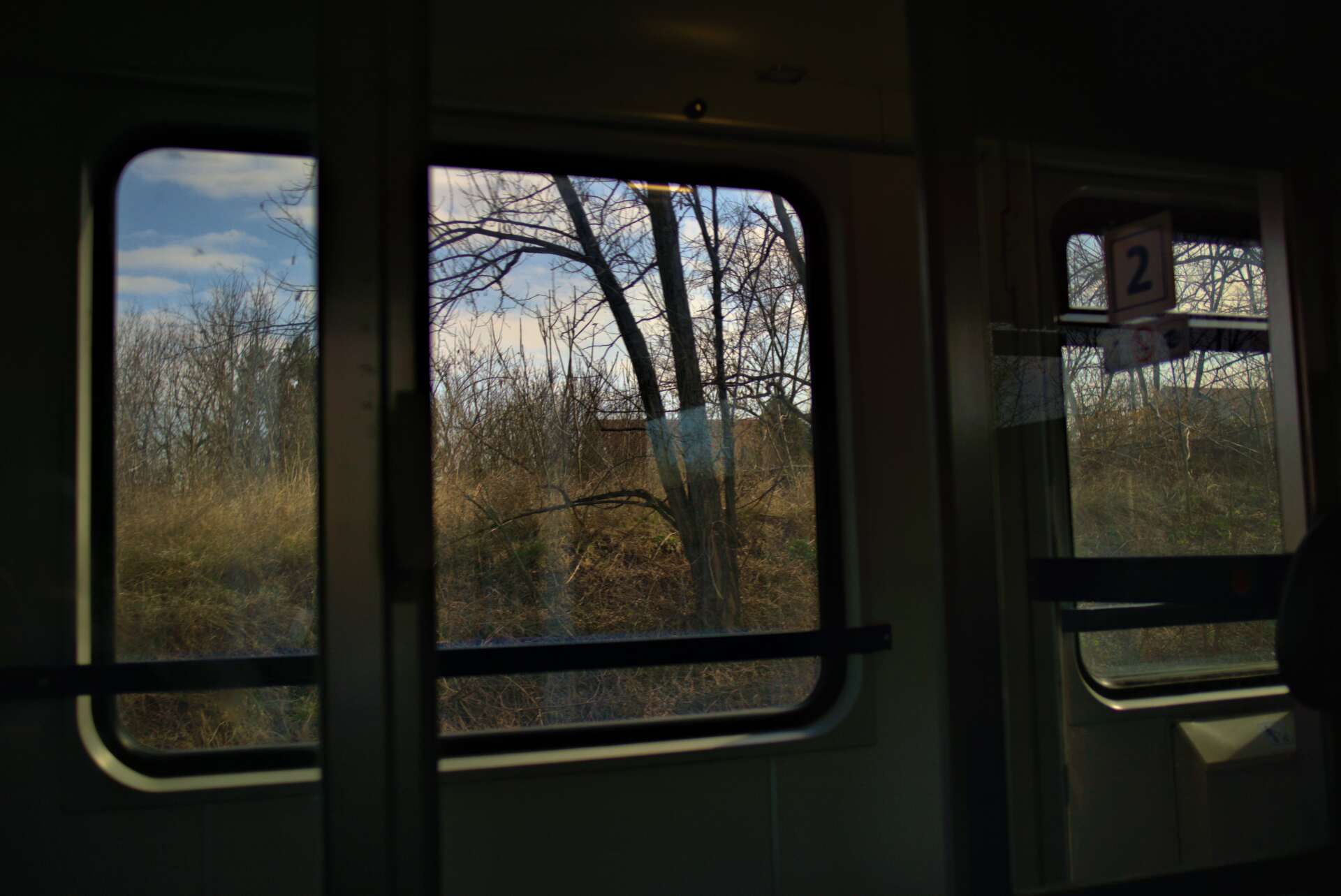 View from a train window of trees and a field on a cloudy day.
