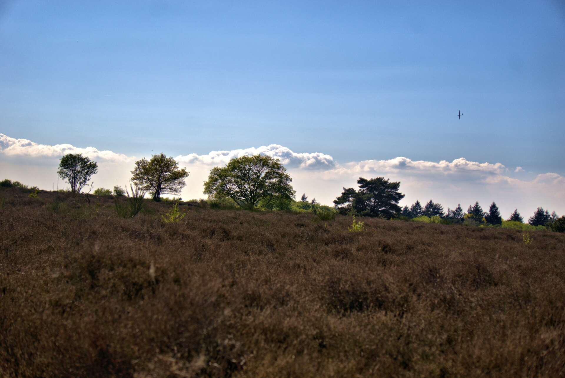 Brown field with trees against a sunny sky, some clouds visible.