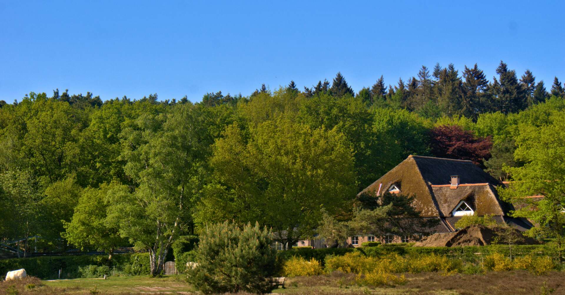 Thatched-roof cottage nestled among lush green trees under a clear blue sky.