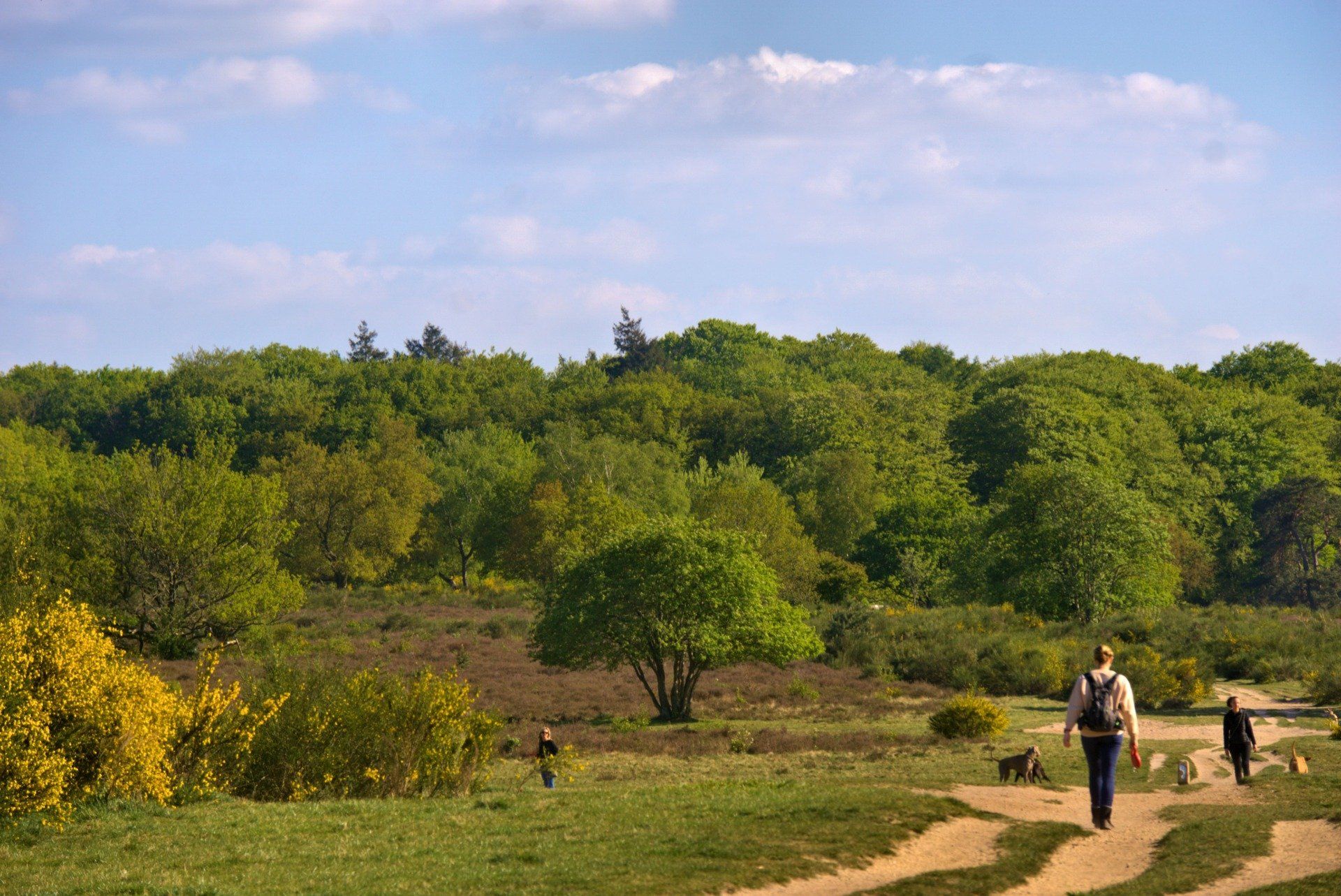 People walking on a path through a green landscape with trees under a blue sky.