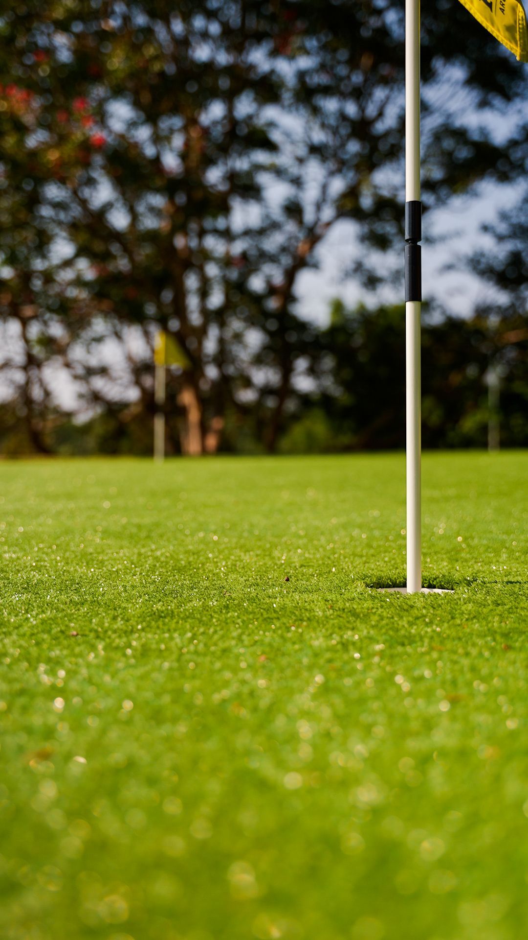 Golf green with a flagstick near the hole, trees blurred in the background.