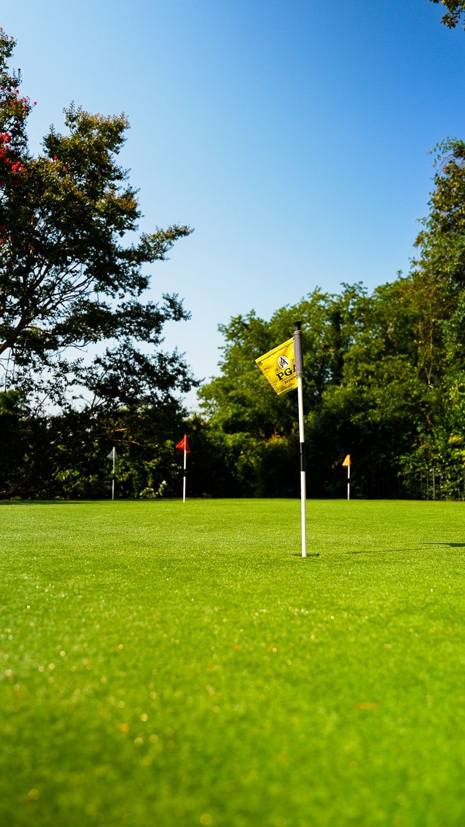 Sunny golf green with a yellow flagstick and trees under a clear blue sky