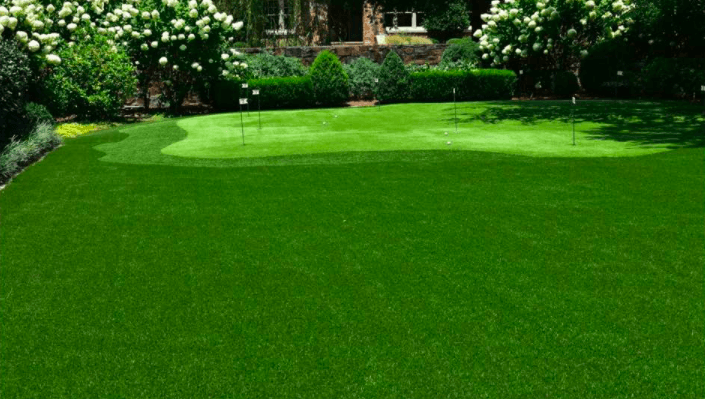Picture of Artificial Grass in Arkansas