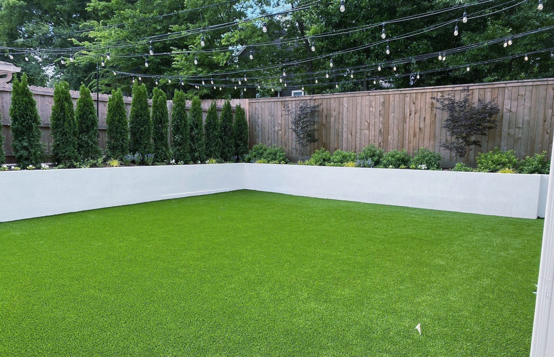 Green backyard lawn with white retaining walls, tall hedges, and a wooden fence backdrop