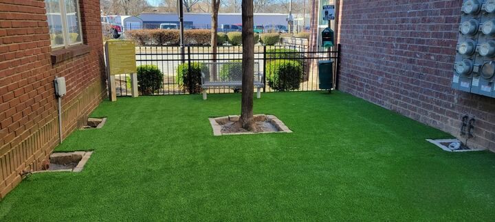 Small backyard with bright green artificial turf, a young tree in a square bed, and a metal gate at the far end.