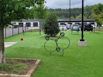 A dog park with a fence and a tree in the middle of it.