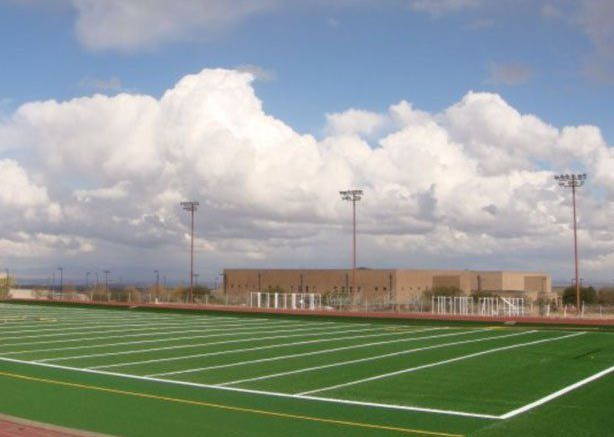 Picture of Luxury Artificial Grass Installation in Arkansas