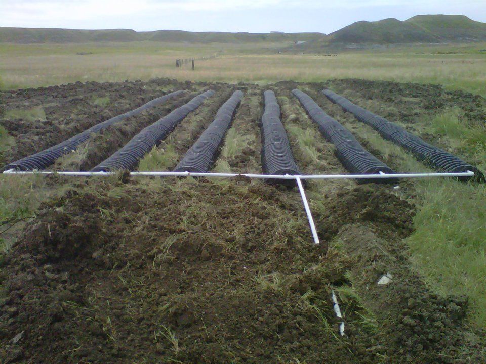 Rows of dark plastic-covered crops in a field with a white irrigation pipe in front, under an overcast sky