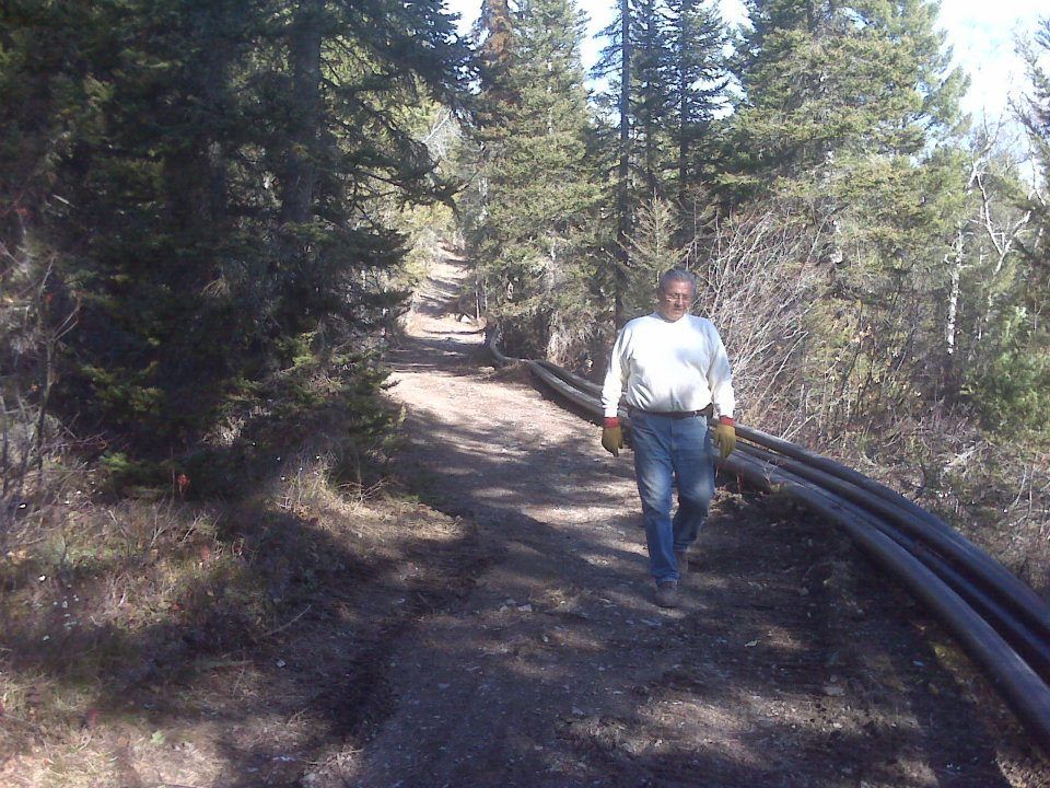 Person walking on a forest trail beside a black railing, surrounded by tall trees.